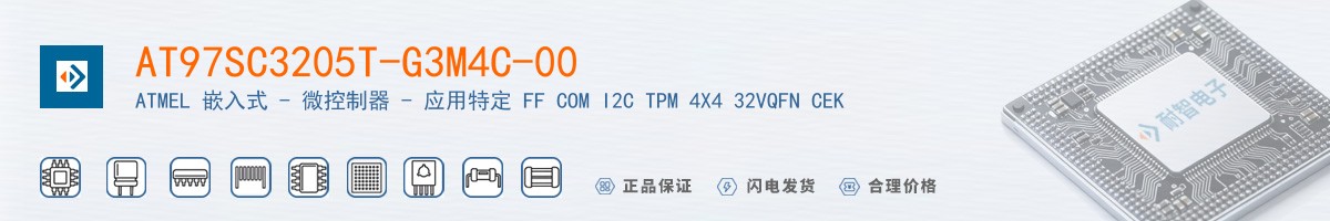 AT97SC3205T-G3M4C-00������