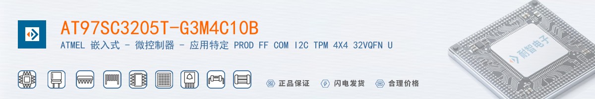 AT97SC3205T-G3M4C10B������