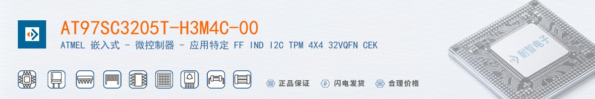 AT97SC3205T-H3M4C-00������