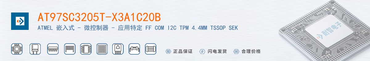 AT97SC3205T-X3A1C20B������