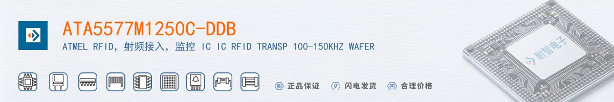 ATA5577M1250C-DDB������