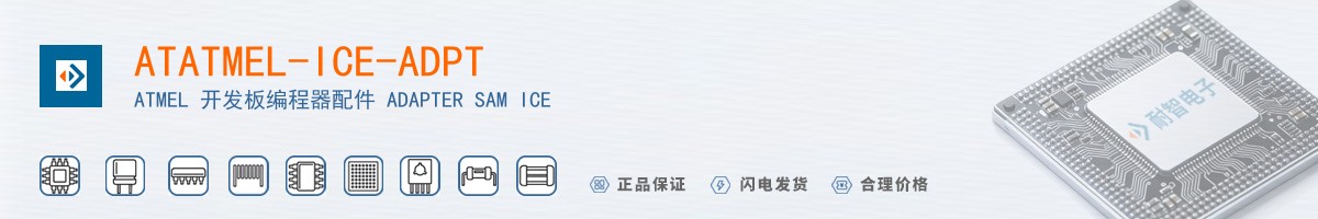 ATATMEL-ICE-ADPT������