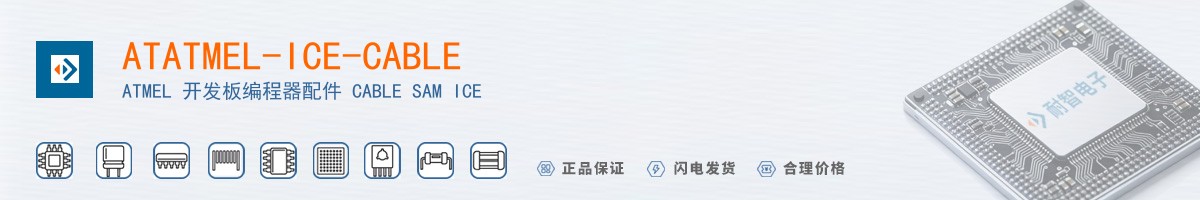 ATATMEL-ICE-CABLE������