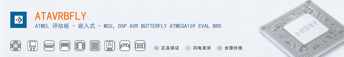 ATAVRBFLY������