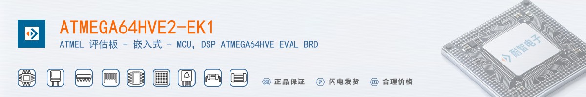 ATMEGA64HVE2-EK1������