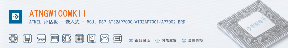 ATNGW100MKII������