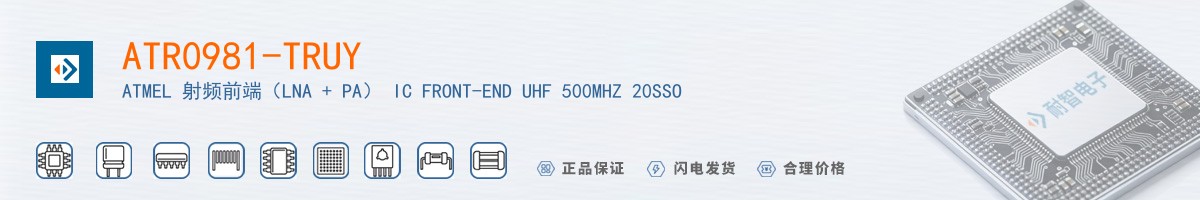 ATR0981-TRUY������