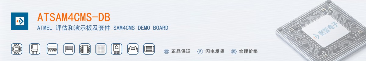 ATSAM4CMS-DB������