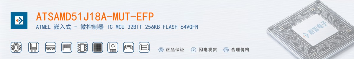 ATSAMD51J18A-MUT-EFP������