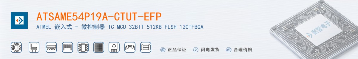 ATSAME54P19A-CTUT-EFP������