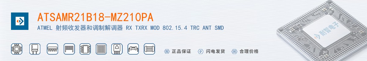 ATSAMR21B18-MZ210PA������