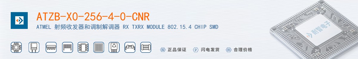 ATZB-X0-256-4-0-CNR������