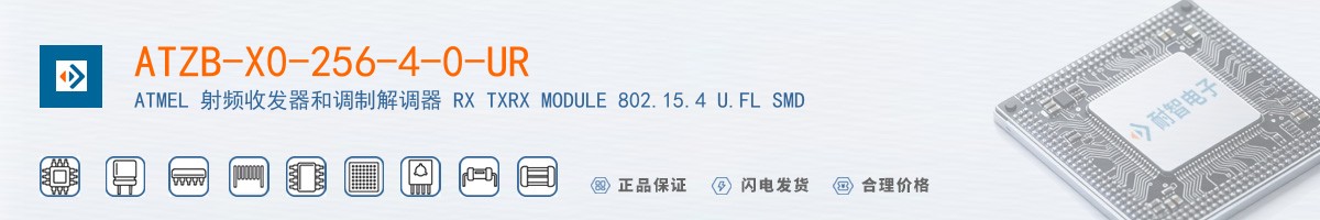 ATZB-X0-256-4-0-UR������
