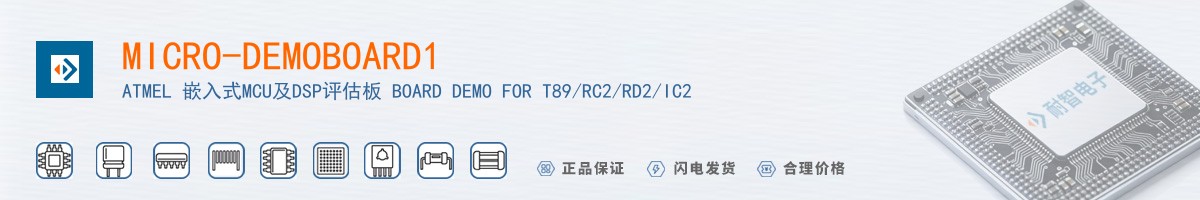 MICRO-DEMOBOARD1������