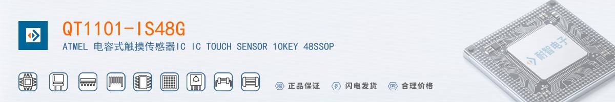 QT1101-IS48G������