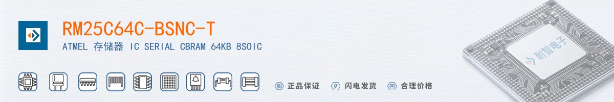 RM25C64C-BSNC-T������