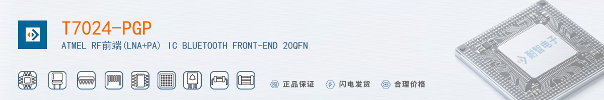 T7024-PGP������