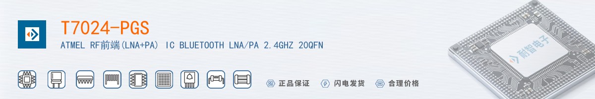 T7024-PGS������