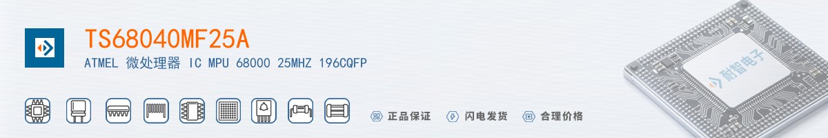 TS68040MF25A������