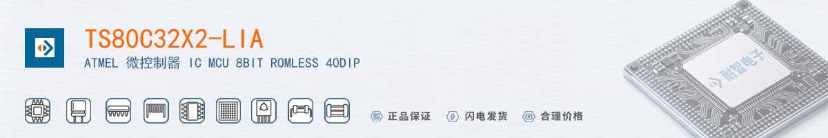 TS80C32X2-LIA������