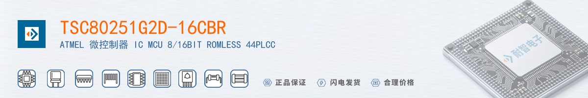 TSC80251G2D-16CBR������