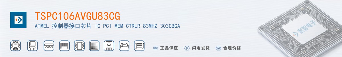 TSPC106AVGU83CG������