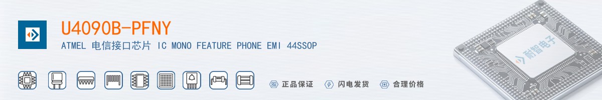 U4090B-PFNY������