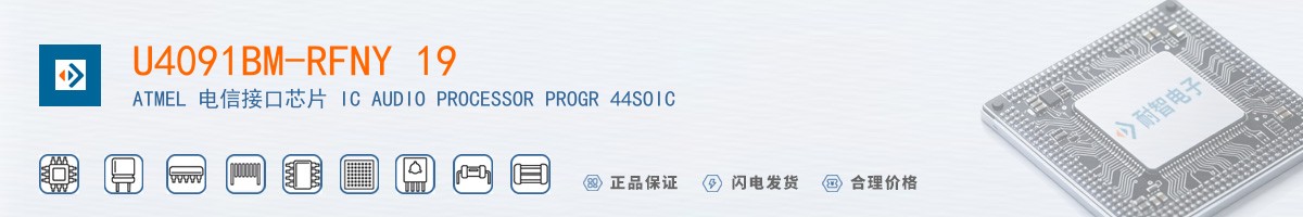 U4091BM-RFNY 19������