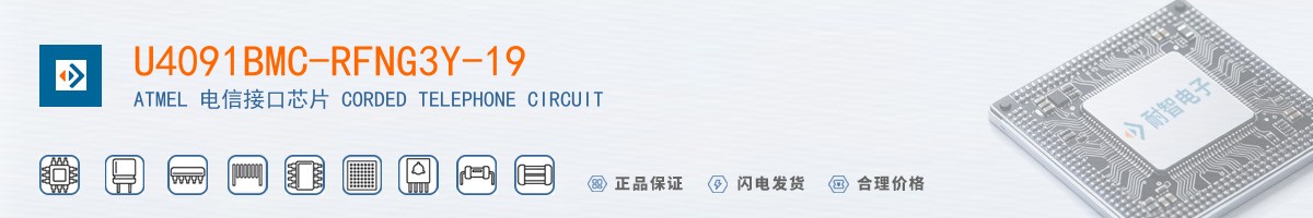 U4091BMC-RFNG3Y-19������