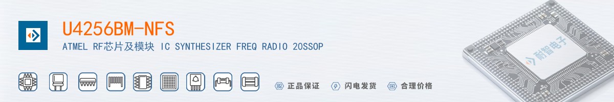 U4256BM-NFS������